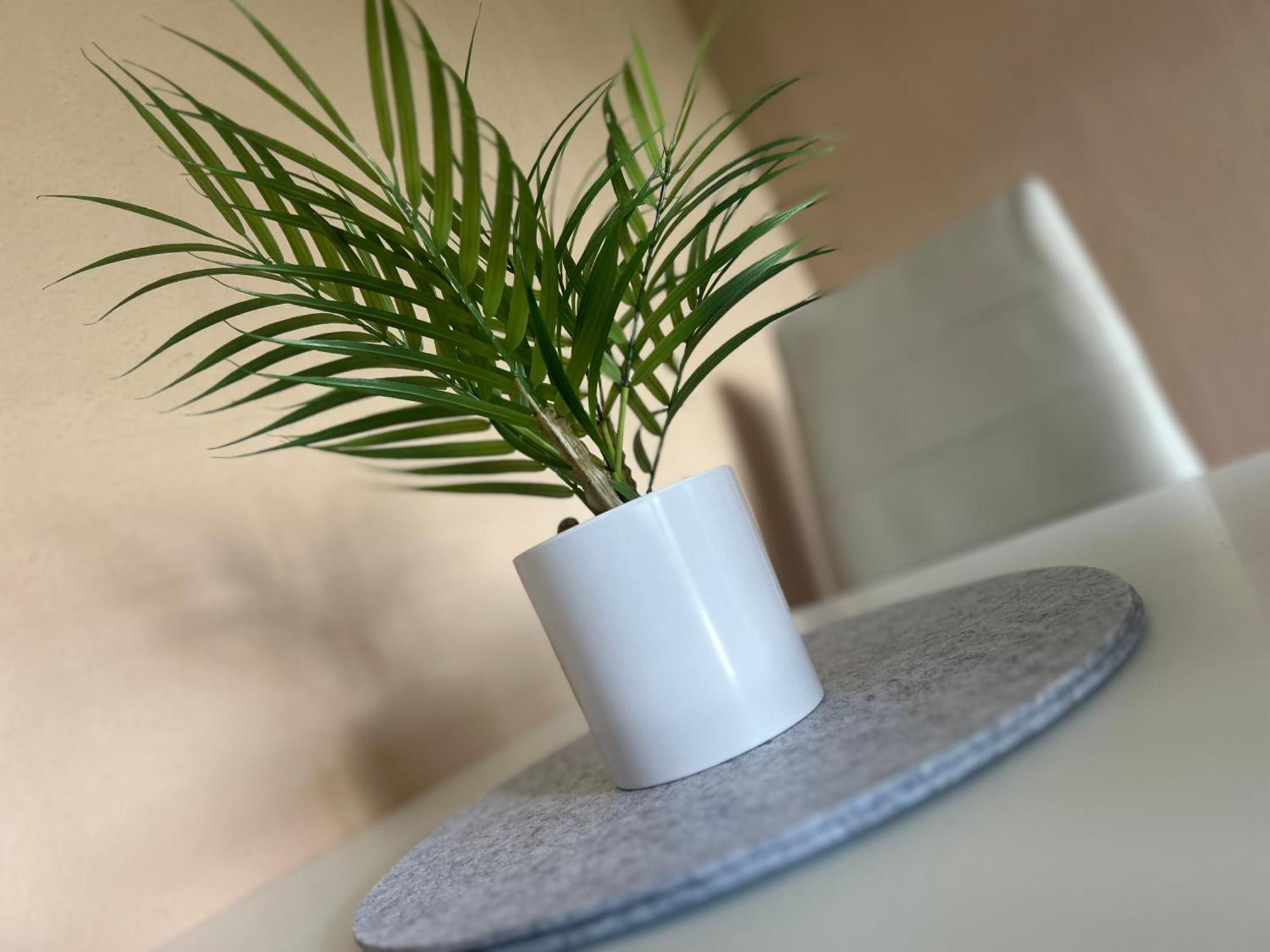 Appartement Zweitwohnsitz